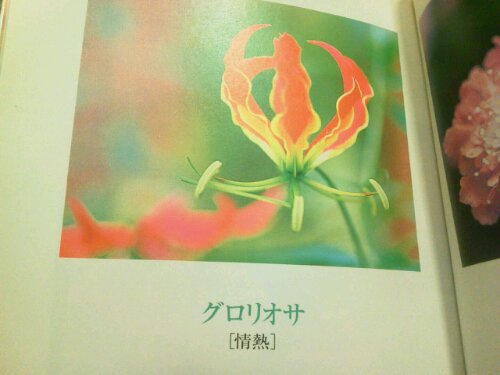 1326375117320.jpg image