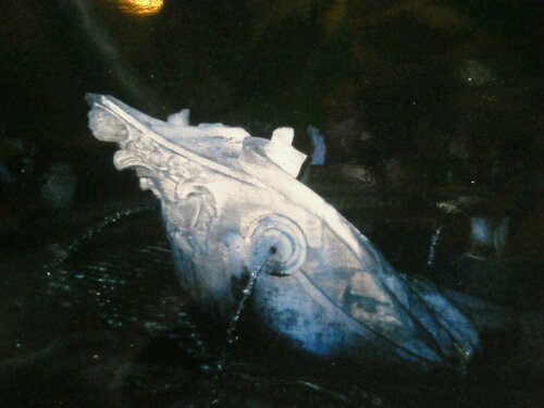 1326688686304.jpg image