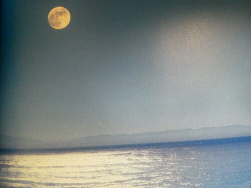 1326762030241.jpg image