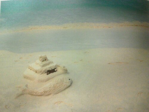 1340579554279.jpg image