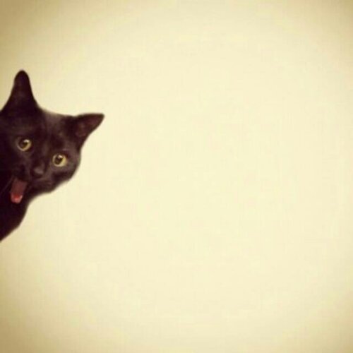 1382084598973.jpg image