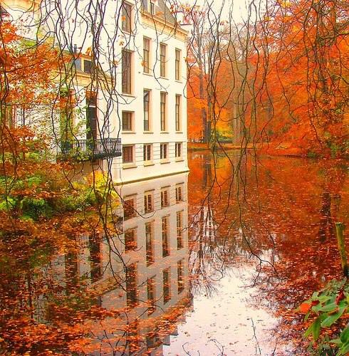 IMG_16182171434961.jpeg image