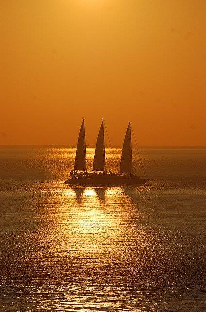 IMG_16188014807961.jpeg image