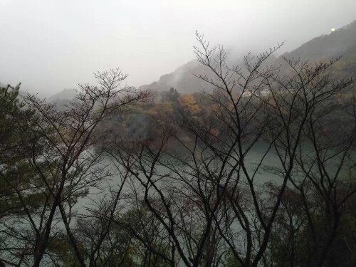 IMG_164069441993087.jpeg image