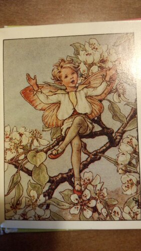 IMG_20131213_121237.jpg image