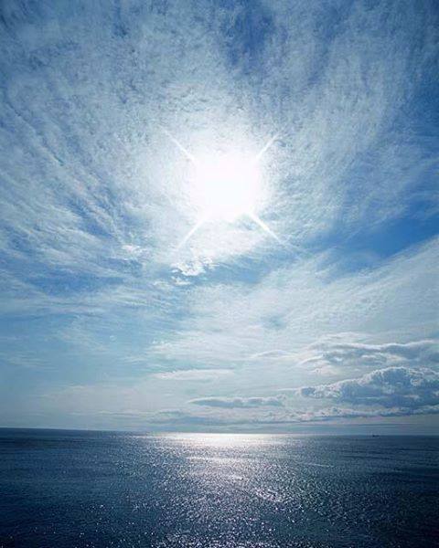 IMG_6878725266000.jpeg image