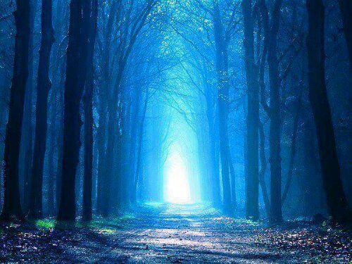 IMG_71082686014930.jpeg image