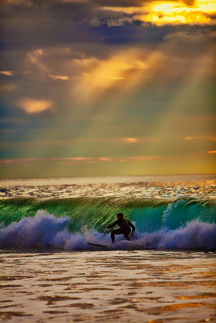 IMG_7801541848002.jpeg image