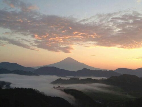 IMG_85166781921003.jpeg image