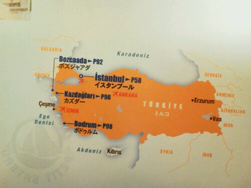 wp-1366844209149.jpg image